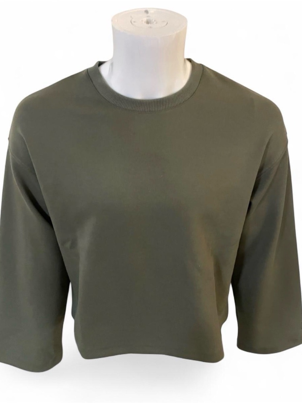 Men Olive Green Crewneck Long Sleeve Top